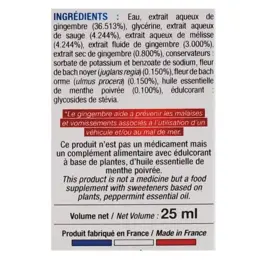 Les 3 Chênes Bien-Être Vagaline Spray Buccal Spécial Nausées 25ml