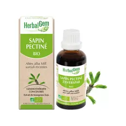 Herbalgem Macérat Concentré Sapin Pectiné Bio 30ml