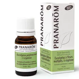 Pranarom Huile Essentielle Bio Eucalyptus à Cryptone 10ml