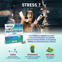 Alvityl Phytostress GABA Rhodiole Mélisse dès 12 ans 28 comprimés