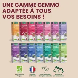 Santarome Bio - Bourgeon d'Aubépine Bio - Gémmothérapie - Flacon de 30ml