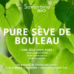 Santarome Bio - Pure Sève de Bouleau Bio - Détoxifie & Reminéralise - 500ml