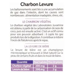 Juvamine Gaz Intestinaux Charbon Levure 45 gélules