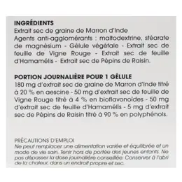 Phytalessence Circulation 60 gélules