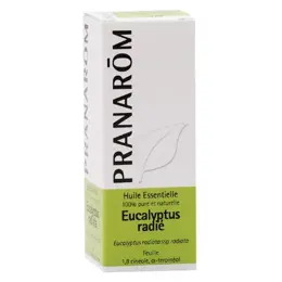 Pranarom Huile Essentielle Eucalyptus Radié 10ml