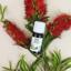 Propos'Nature Aceite Esencial Bio Niaouli 10ml