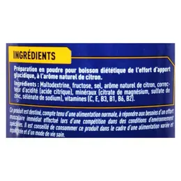 Apurna Boisson Energétique Maltodextrine Citron 500g