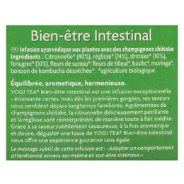 Yogi Tea Bien-Être Intestinal Infusion Ayurvédique Bio 17 sachets