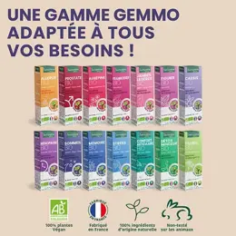 Santarome Bio - Bourgeon de Cassis Bio - Gémmothérapie - Flacon de 30ml