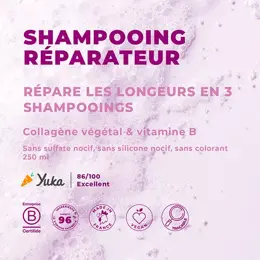 Energie Fruit Collagen Repair Shampoing Réparateur Cheveux Très Abimés 250ml