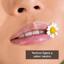 Apivita Lip Care lip care with SPF15 camomile