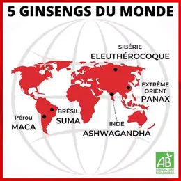 Nutrigée Ginseng 5 Fort 60 comprimés