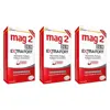 MAG 2 24H Extra Fort Magnésium Vitamine B6 Fatigue Lot de 3 x 45 comprimés