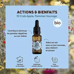 Biofloral Fleur De Bach 10 Crab Apple Pommier Sauvage Compte Gouttes Bio 20 ml