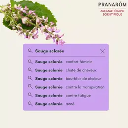 Pranarom Huile Essentielle Sauge Sclarée Somminté Fleurie 10ml