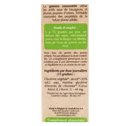 Herbalgem Macérat Concentré Citronnier Bio 30ml