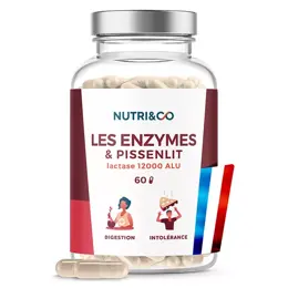 Nutri&Co Enzymes Digestives Digestion Difficile et Intolérance 60 gélules