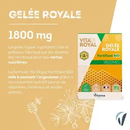 Vitavea Vita'Royal Gelée Royale Fortifiant Bio 10 ampoules