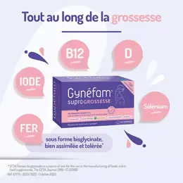 Gynéfam Supra Grossesse Boîte de 3 mois 90 capsules