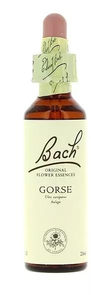 Flores de Bach Flor de Bach 13 gorse 20ml