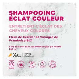 Energie Fruit Cheveux Shampoing Éclat Couleur Vinaigre de Framboise & Fleur de Cerisier 250ml