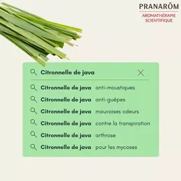 Pranarom Huile Essentielle Citronnelle de Java 10ml