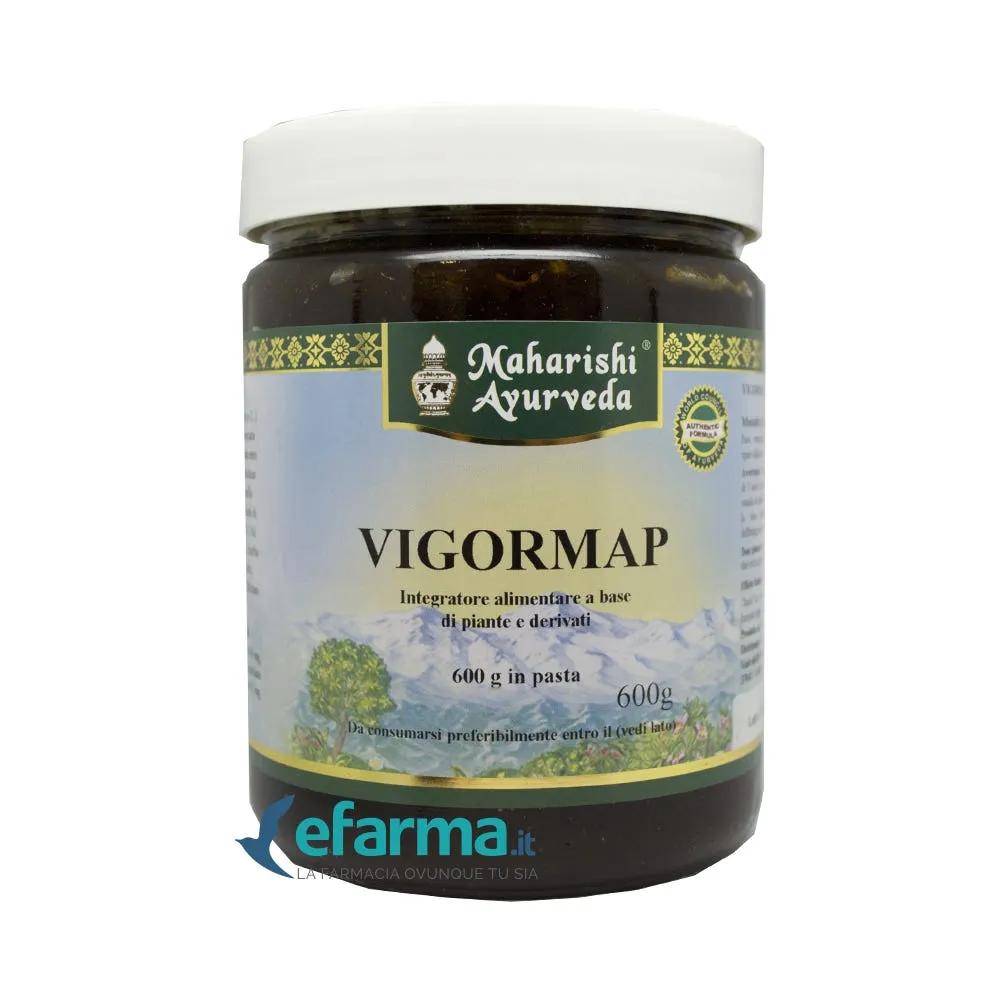 Vigormap Integratore Convalescenza Pasta 600 Gr