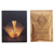 Revlon Gold Fluid Lightening Powder 8 Umschläge x 40 ml