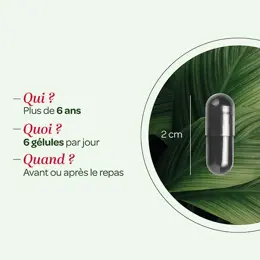 Superdiet Charbon Végétal 150 gélules