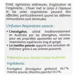 Vitavea - BioNutrisanté - Infusion Respiratoire - 20 sachets