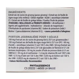 Phytalessence Mémoire 30 gélules