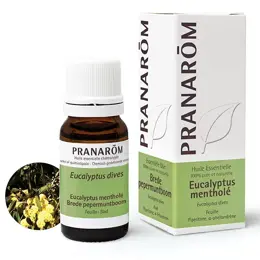 Pranarom Huile Essentielle Eucalyptus Mentholé 10ml