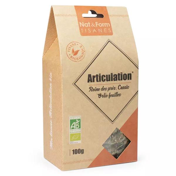 Nat & Form Tisana Ribes Nero Articolazione Bio 100g