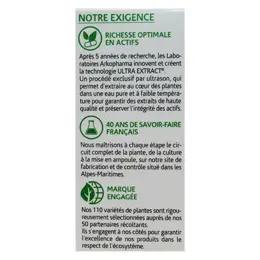 Arkopharma Arkofluides Détox Bio Sureau Noir Pissenlit Radis Noir 20 ampoules