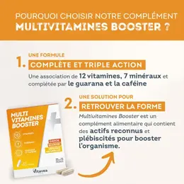 Vitavea Multi Vitamines Booster Energie Défenses naturelles 45 gélules