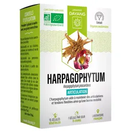 Dayang Harpagophytum Bio 15 gélules végétales