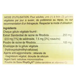 Solgar SFP Rhodiola 60 gélules végétales