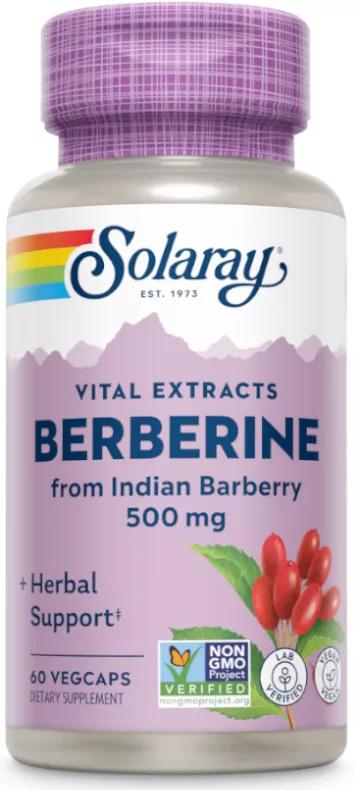 Solaray Super Berbérine 500 mg 60 gélules végétales