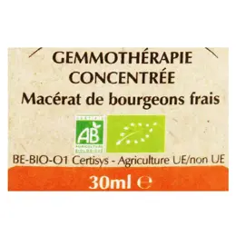 Herbalgem Complexe de Gemmothérapie Energem Energié Mentale Physique Bio 30ml