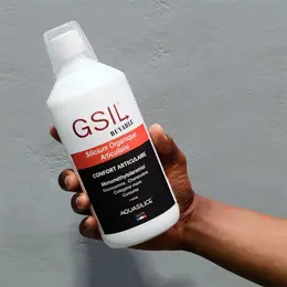 Aquasilice GSIL Monomethyl Articulaire Solution Buvable 1L