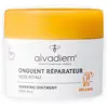 Alvadiem Onguent Réparateur Irritations Gerçures et Fendillements 50ml