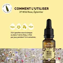 Biofloral Fleur De Bach 37 Wild Rose Eglantier Bio Demeter 20 ml