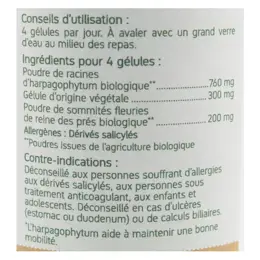 Nat & Form Bio Harpagophytum Reine des Prés 200 gélules