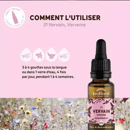 Biofloral Fleur De Bach 31 Vervain Verveine Compte Gouttes Bio Demeter 20 ml