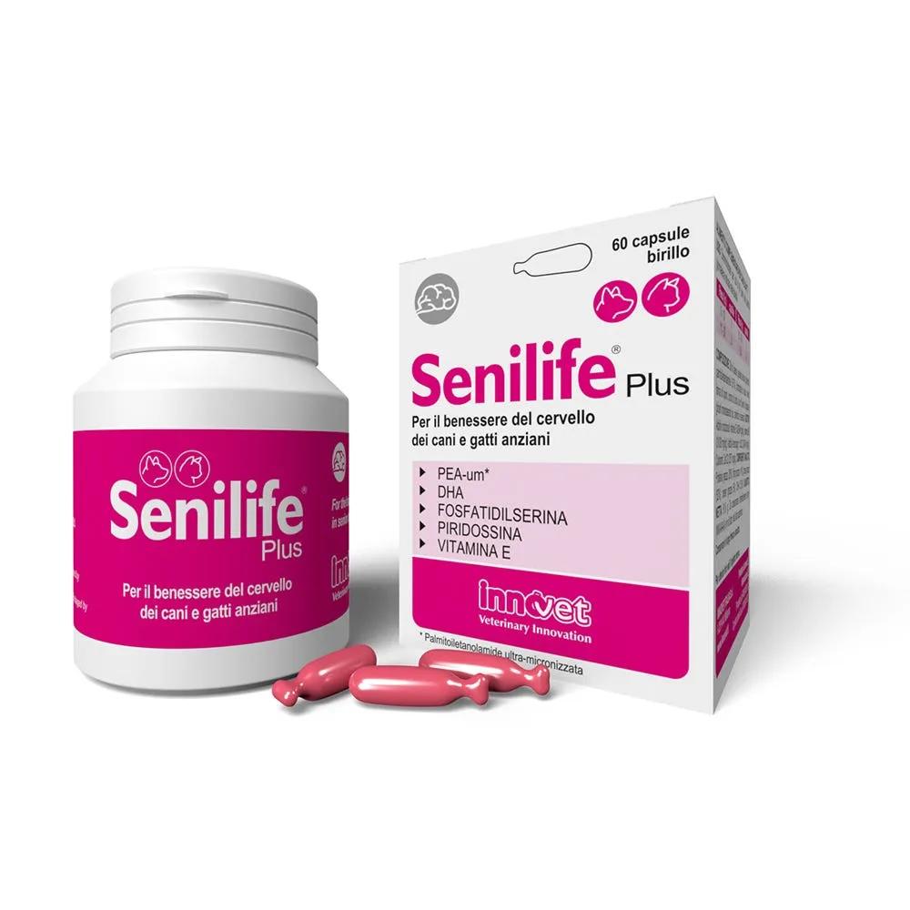 Senilife Plus Integratore per il Benessere del Cervello di Cani e Gatti Anziani 60 Capsule