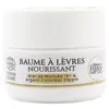 Miel de Manuka Baume Lèvres Huile de Coco Argent Colloïdal Bio 15ml