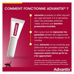 Advantix Chien Solution Antiparasitaire Grande Race 25 à 40kg 4 pipettes