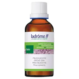 Ladrôme Extraits de Plantes Fraîches Pin Sylvestre Bio 50ml