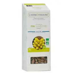 L'Herbôthicaire Tisane Pin Sylvestre Bio 80g