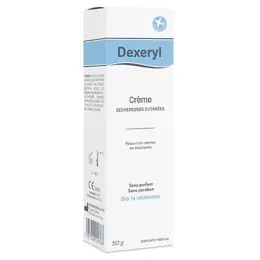 Dexeryl Crème Sécheresses Cutanées Lot de 3 x 50g